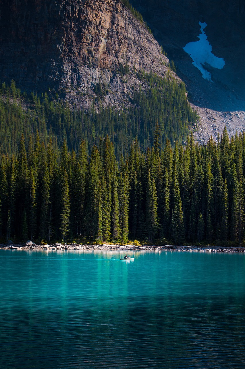 trees, lake, paddle-4347932.jpg